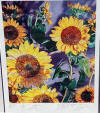 brett Livingstone Strong Sunflowers