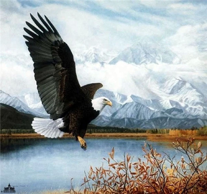 Herndon Fine Art offers authenticated Charles Fracé fine art, including rare hand-signed limited edition prints, sold-out publisher proofs, and photorealistic wildlife oil paintings.