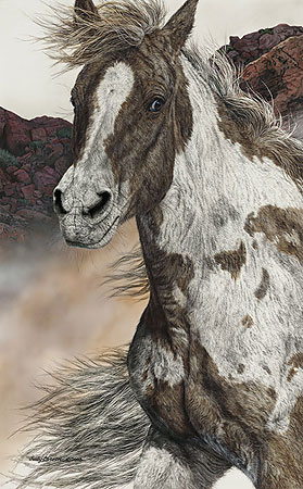 Herndon Fine Art offers authenticated Judy Larson fine art, including rare limited edition prints, hidden camouflage wildlife graphics, and original scratchboard works.