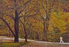 harold altman jogging central park 1986