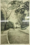 harold altman Mother and Child Parc Montsouris