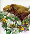 bev doolittle Bugged Bear