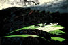 eyvind earle green valley