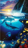 wyland dolphin dawn